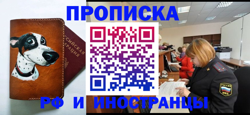 прописка для работы в Сальске